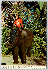 c1980s Jungle Larry African Safari Naples FL Chimp Rides Continental Postcard picture