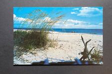 Florida FL Postcard Beautiful White Sandy Beach On Florida Coast picture