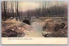 Milton Massachusetts DB Postcard Bridge Blue Hill Reservation Rotograph C 1908 picture