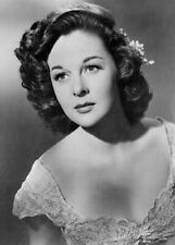 Susan Hayward 1940's Hollywood studio glamour portrait 12x18 Poster picture