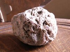 LoVE LoVE.....this Fossil Agatized Rock dredged from Mississippi River 1976 picture