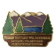 Vintage Three Sisters Wilderness Scenic Travel Souvenir Pin picture