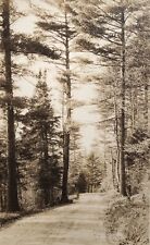 1920’s View of Road Through Forest Tall Trees by Tefft of Speculator N.Y. RPPC picture