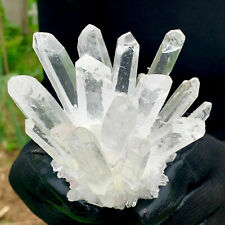 New Find white Phantom Quartz Crystal Cluster Mineral Specimen Healing 500g+ 1pc picture