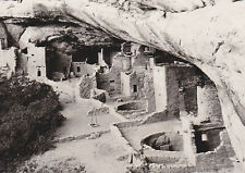 MESA VERDE CLIFF DWELLINGS CO REAL PHOTO OLD POSTCARD, SPRUCE TREE HOUSE  PC1810 picture