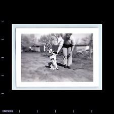 Vintage Photo WOMAN WITH DOG IN YARD picture