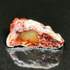 Dragon Fossil Head Mexican Fire Opal Specimen With A Sphere Of Amazing Colors picture