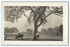 c1910's Lincoln Park Conservatory Chicago Illinois ILRPPC Photo Antique Postcard picture