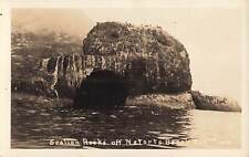 RPPC Sealion Rocks off Netarts Beach Tilamook County Oregon Real Photo Postcard picture