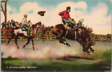 1940s Rodeo Postcard Cowboy Bronco 