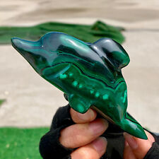 220G Natural glossy Malachite Crystal  Handcarved dolphin mineral sample healing picture