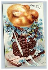 Vintage 1907 International Art Easter Postcard Chick on a Basket of Blue Flowers picture