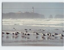 Postcard Yaquina Head Lighthouse Newport Oregon USA picture