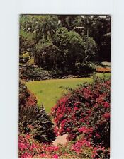 Postcard The beautiful Bougainvillea Sunken Gardens St. Petersburg Florida USA picture