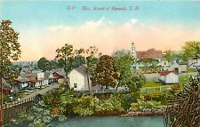 Mitchell Postcard H-19 Town View of Hilo, Island Of Hawaii, T.H. Unposted picture