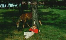 Postcard MI West Branch Little Sleeping Hunter Deer Buck 1954 Vintage PC b8922 picture