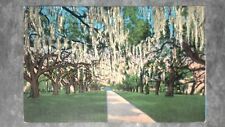 Vintage c1939 Postcard De La Ronde Oaks Versailles Plantation New Orleans LA picture