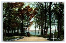 1909 Larchmont, NY  Postcard - A SHADY DRIVE ALONG THE SHORE picture