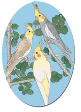 Cockatiel Parrot Magnet Wooden picture