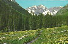 Vintage Colorado Chrome Postcard Maroon Bell Peaks White River National Forest picture