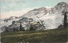 Mount Rainier, Washington - Wildflowers and Glaciers in the background - 1909 picture