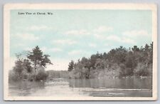 1925 Postcard Lake View At Chetek Wisconsin WI picture
