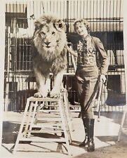 RARE 1930s / 1940s Lion Tiger Trainer Julie Allen / Circus Large Photograph #4 picture