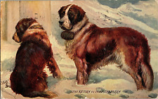 Antique Rafael Tuck Oilette Postcard SAINT BERNARD dogs Return to the Monastery picture