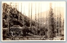 RPPC Scene on the Hump  East of Mullan  Idaho   Real Photo Postcard c1920 picture