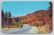 The handiwork of Jack Frost's Autumn visit Pocono Mountains PA Postcard 2966 picture