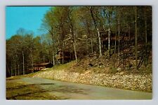 Cambridge OH-Ohio, Salt Fork State Park, Cabin Area, Vintage Souvenir Postcard picture