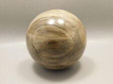 Petrified Wood 2.75 inch Stone Sphere Fossil Sequoia USA #O4 picture
