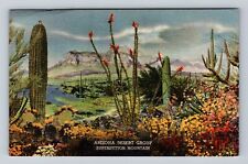 Denver CO-Colorado, Colorado Museum of Natural History, Vintage Postcard picture
