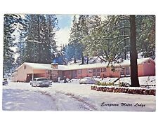 1960s Vintage Postcard Evergreen Motor Lodge Pine Grove CA Great 1950s-60s Cars picture