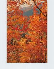 Postcard Gorgeous Fall Colors in the Mountains of Western North Carolina USA picture
