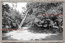 50s OKAHUMPKA LAKE COUNTY FLORIDA MAN LADDER FARM VINTAGE USA Photograph 9242 picture