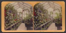 GREENHOUSE INTERIOR ~ KILBURN BROTHERS COLORIZED STEREOVIEW, Stereo # 422, 1870s picture