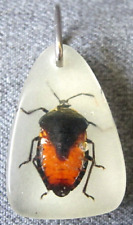 Vintage bug inlaid glow in the dark resin pendant    #7 picture