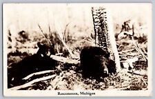 Roscommon Michigan MI Bears Real Photo Postcard RPPC 1938 picture