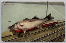 Carload Fish Railroad Train Track Antique Postcard PM Petoskey MI Cancel WOB DB picture