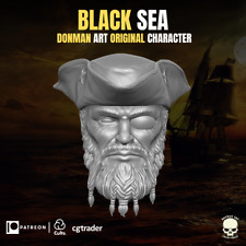 Black Beard Pirate Captain custom head for 4