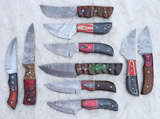 LOT OF 10 PCS HANDMADE DAMASCUS STEEL BLADE MIX SKINNER  HUNTING KNIFE # H-30 picture