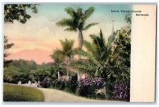 c1950's Smith Parish Church Worship Dirt Road Flowers Trees Bermuda Postcard picture
