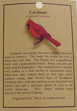 NEW RED CARDINAL BIRD  HAT PIN LAPEL PINS picture
