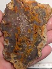Awesome Orange Red Kentucky Agate Slab Slice picture