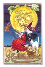 Early 1900's Halloween Postcard Red Dressed Witch on a Broom White Cat, Moon picture
