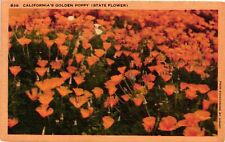 Vintage Postcard- California Golden Poppy, CA Early 1900s picture