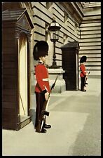 Postcard Chrome Irish Guards at Buckingham Palace London picture