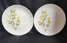 Toscany Collection Yorktown Vintage 1970's Floral Snack Plates Set Of 2 picture