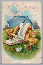 Tuck's Easter Postcard Chicks With Book Umbrella Loving Easter Wishes UDB A369 picture